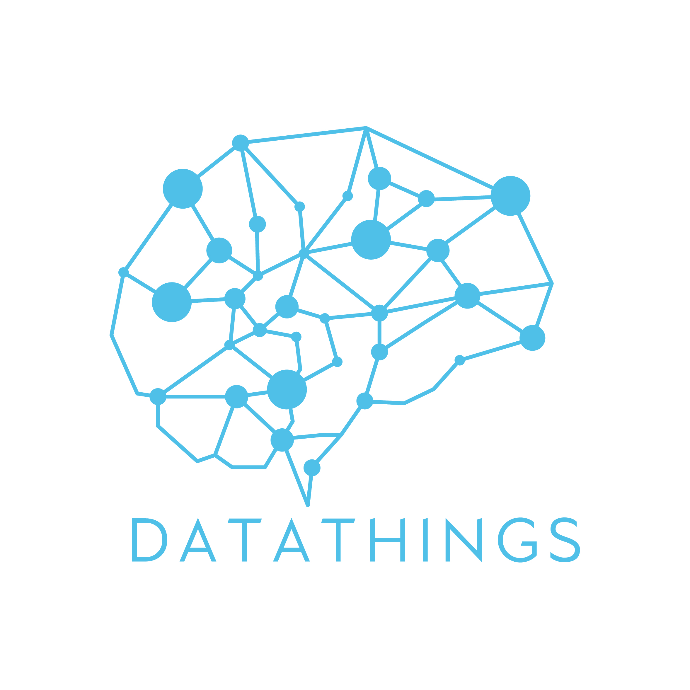 Data Things Logo